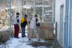 In dieser Transportkiste kam Julinka im Walter-Zoo an. (Bild: pd)