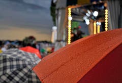 Viele Besucher brachten ihre Regenschirme mit. (Bild: Reto Martin)