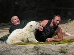 Er brachte Knut mit der Flasche durch. (Bild: Umberto W. Ferrari)