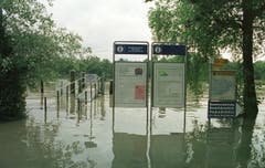 Die Altenrheiner Schiffsanlegestelle war damals versunken. (Bild: Archiv)