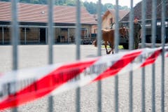 PFERD, PFERDE, KOMPETENZZENTRUM ARMEETIERE, VET D U A TIERE, TIERQUAELEREI, PFERDEZUCHT, BAUERNHOF ULRICH K., PFERDEHAENDLER ULRICH K., VERKAUF DER PFERDE, PFERDEVERKAUF, (Bild: Keystone)