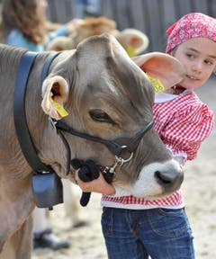 Livia Mathis aus Furna hat ihre Freia fest im Griff. (Bild: Keystone)