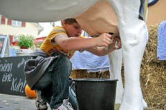 Richtiges Melken will gelernt sein. (Bild: Reto Martin)