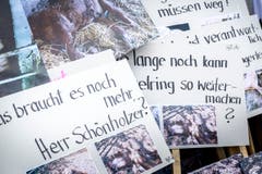 Bild: Andrea Stalder