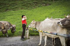 Familie Inauen beim Alpabzug von der Fählenalp nach Bürlisau und Gonten (6.9.2016). (Bild: Urs Bucher)
