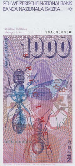 ...ebenso wie drei Ameisen und ein Vertikalschnitt durch einen Ameisenhaufen. (Bild: Archiv der SNB)