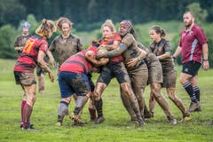 Rugby: Bishops-Cup im Gründenmoos St. Gallen (Bild: Urs Bucher)