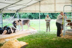 Highend Viehzucht Gant (Bild: Andrea Stalder)