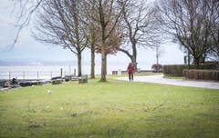 Am Bodesee windete es bereits am Mittwochmorgen stark. (Bild: Andrea Stalder)