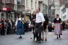 Die Gruppe "Solothurner Landwirtschaft mit Kühen und Schafen". (Bild: Keystone)