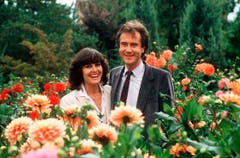 In einem Meer aus Blumen taufen Kurt Felix und seine Verlobte Paola del Medico zwei Tage vor ihrer Hochzeit eine gelb-orange Dahlie auf den Namen «Paola und Felix». (Bild: Keystone)