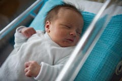 Dimitri, 10.12.2010, 49 cm, 3100 g (Spital Heiden) (Bild: Benjamin Manser)