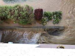 Der Ausseneingang zum Kellergeschoss von oben herab fotografiert. (Bild: Saadet Klein (Bewohnerin))