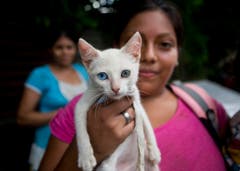 Diese Frau hat ihre Katze gerettet: Neun Menschen starben als ein Haus wegen heftigen Regens in Managua, Nicaragua zusammenstürzte. (Bild: Keystone)