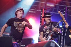 Krokus in Aktion am Bodensee. (Bild: Donato Caspari)