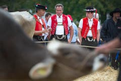 Bild: Urs Bucher