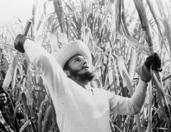 Fidel Castro im Februar 1961.