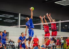 Volley Amriswil : Perugia Champions League Hinspiel (Bild: Andrea Stalder)