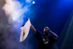 Openair Frauenfeldn 2015, D12 (Bild: Peter Käser)