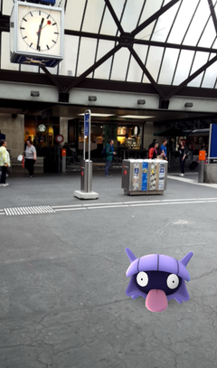 Ein Muschas am Bahnhof St.Gallen (Bild: Screenshot)