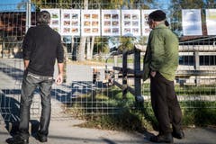 Versteigerung Alppferde Ulrich K. (Bild: Reto Martin)