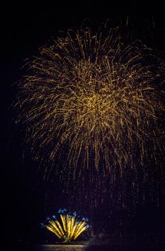 Von Donnerstag 3. August bis Samstag 5. August fand im Hafen von Romanshorn das Sommernachtsfest 2017 statt. (Bild: Andrea Stalder)