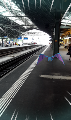 Ein wildes Zubat auf Gleis 1. (Bild: Screenshot)