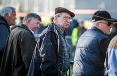 Versteigerung Alppferde Ulrich K. (Bild: Reto Martin)
