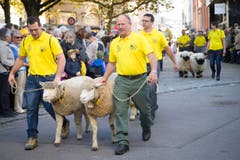 St. Gallen - Umzug Olma Olmaumzug durch die Stadt (Bild: Ralph Ribi)
