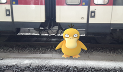 Ein Enton auf dem Gleis. (Bild: Screenshot)