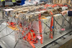 Die beladenen Frachtcontainer werden in die Flugzeuge gebracht. (Bild: Ralph Ribi)