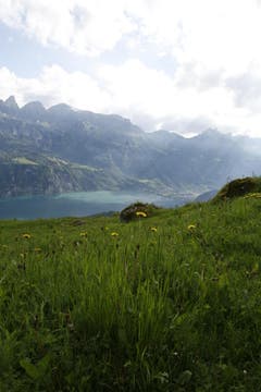 Die Aussicht von Rüedisboden lässt den Walensee in der Morgensonne besonders schön erscheinen. (Bild: Jolanda Riedener)