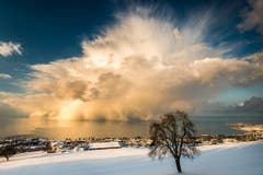 Das Siegerbild aus dem Jahr 2013: Die Schneewolke über dem Bodensee, aufgenommen ob Rorschacherberg. (Bild: Cyrill Schlauri)