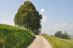 Wanderung 05.10.2017 (Bild: Gianni Amstutz)