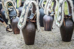 Kantonales Schwingfest (Bild: Andrea Stalder)
