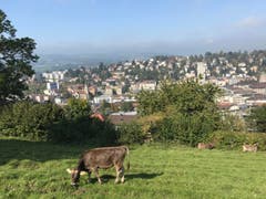 Wanderung 28.09.2017 (Bild: Luca Ghiselli)
