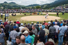 Übersicht über den Schwingplatz. (Bild: kEYSTONE / ALESSANDRO DELLA VALLE)