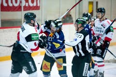 Zugs Josh Holden (rechts) im Boxkampf mit dem Kölner Shawn Lalonde. (Bild: Corinne Glanzmann)