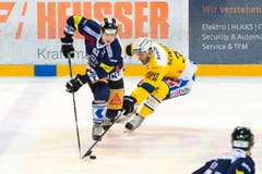Fabrice Herzog von Zug (links) im Duell mit Noah Schneeberger. (Bild: Keystone)