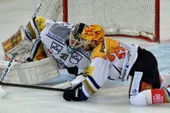 Am Boden: Zugs Jussi Markkanen (links) und Linus Omark. (Bild: Keystone)