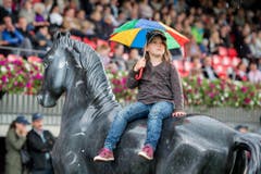 Reiten - CSIO Nation Cup St. Gallen 2016 (Bild: Urs Bucher)