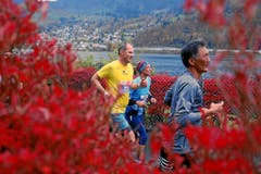 Herbstlicher Lauf auf der Horwer Halbinsel vorbei an Wiesen, Feldern und Villen. (Bild: swiss-image.ch/Photo Andy Mettler)