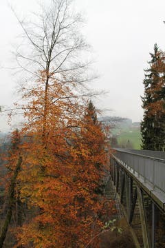 Wanderung 16.11.2017 (Bild: Simon Roth)
