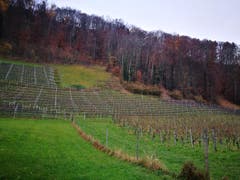 Wanderung 14.12.2017 (Bild: Arcangelo Balsamo)