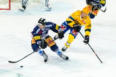 Zugs Dario Bürgler ist vor dem Davoser Topskorer Marcus Paulsson am Puck. (Bild: Keystone)