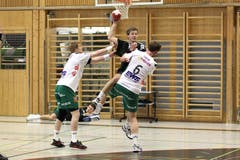 Bild: Roger Zbinden/Neue LZ