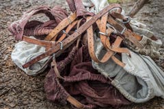 Kantonales Schwingfest (Bild: Andrea Stalder)