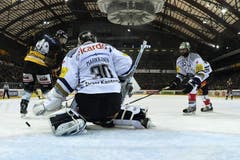 Die Zuger Jussi Markkanen und Andy Woznievski (rechts) gegen Berns Pascal Berger. (Bild: Keystone)