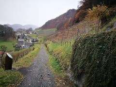 Wanderung 14.12.2017 (Bild: Arcangelo Balsamo)