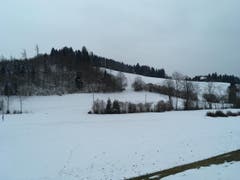 Wanderung 22.02.2018 (Bild: Gianni Amstutz)
